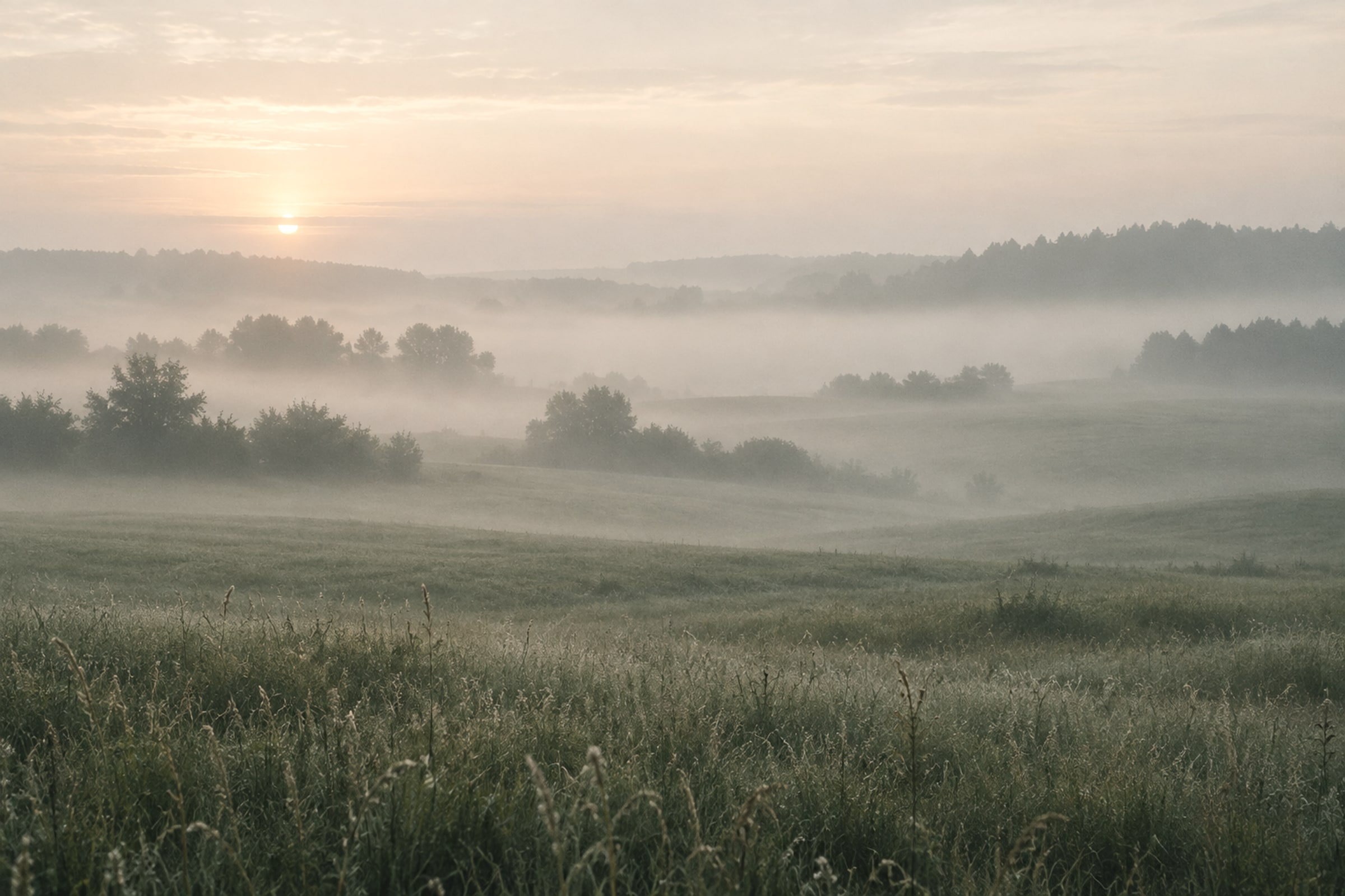Fog over an empty field at dawn in the frames colour grade.